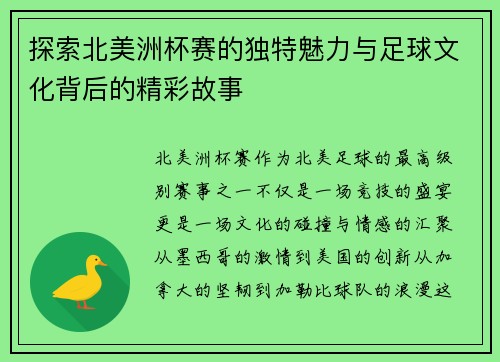 探索北美洲杯赛的独特魅力与足球文化背后的精彩故事
